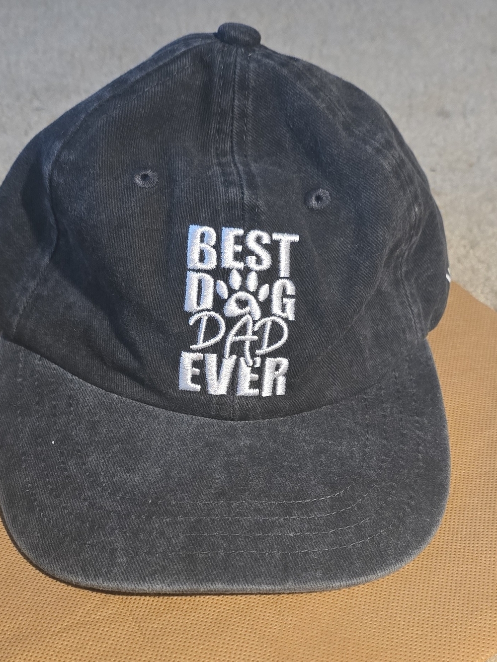 Best Dog Dad Ever Embroidered Baseball Cap - Black